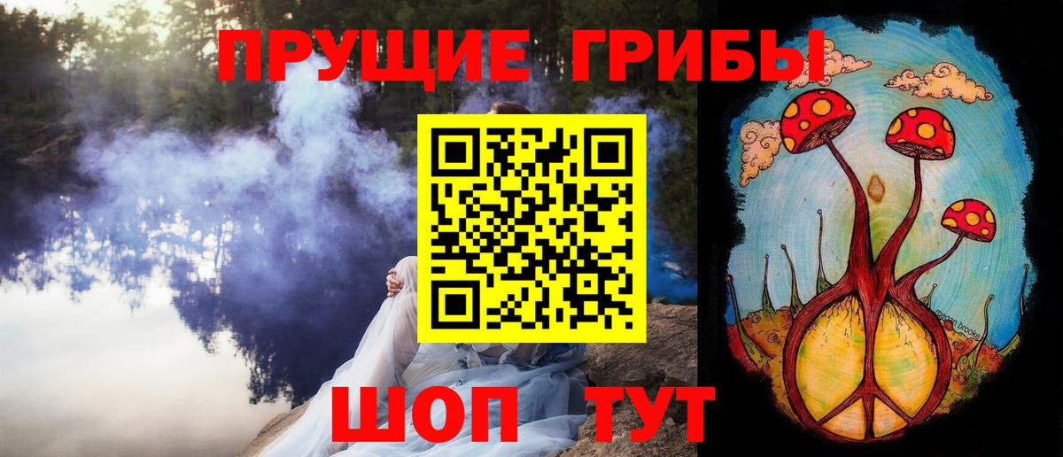 Новочебоксарск  Галлюциногенные грибы Psilocybe  Вход с VPN 