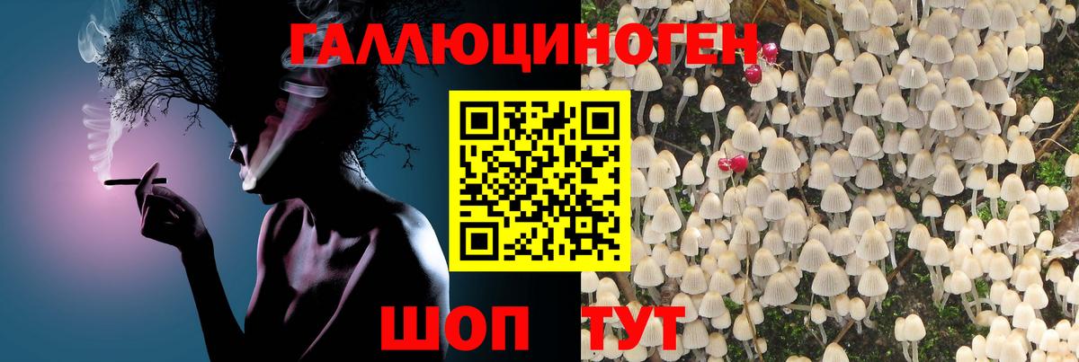 Новочебоксарск  Cocaine  МЕФ кристаллы  Вход с VPN  Амфетамин кристаллы  Гашиш  Alpha-PVP СК кристаллы 